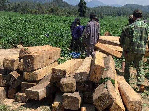 Lâm tặc bị nhóm đối tượng chém xối xả để cướp gỗ tang vật