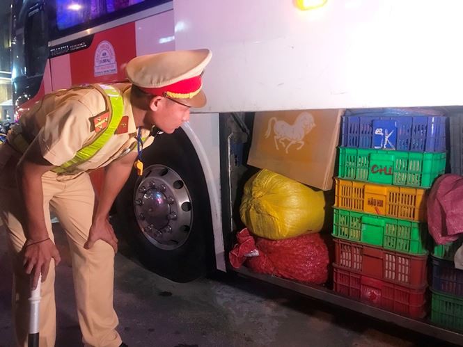 Hàng ngàn con rắn còn sống trên xe giường nằm làm hành khách khiếp vía