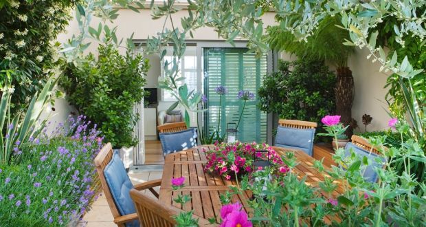 Trở về sau tuần trăng mật, nữ bác sĩ chết lặng trước cảnh khó tin