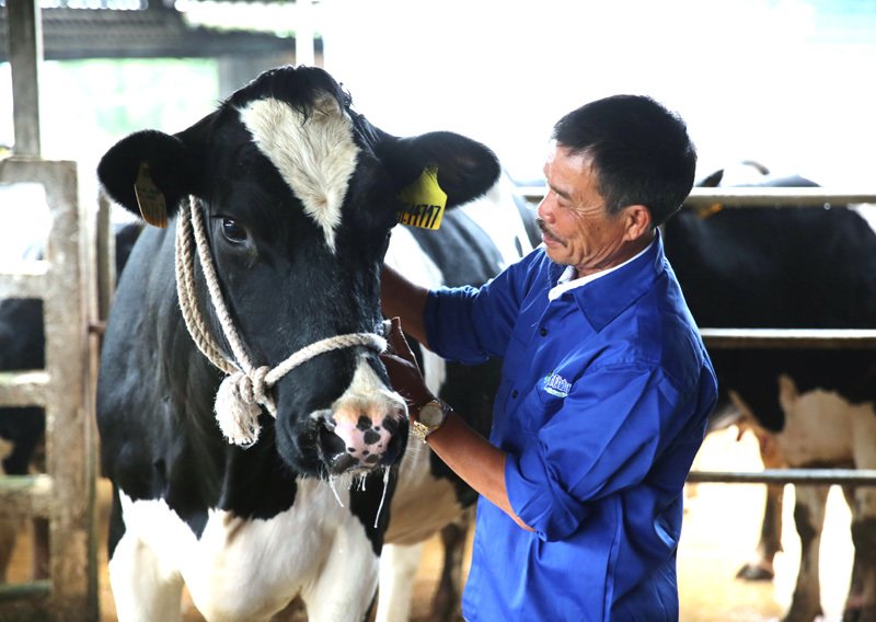 Sống trên đỉnh núi: Đẳng cấp 4.0, khối tiền 30 tỷ, Việt Nam có mấy ai