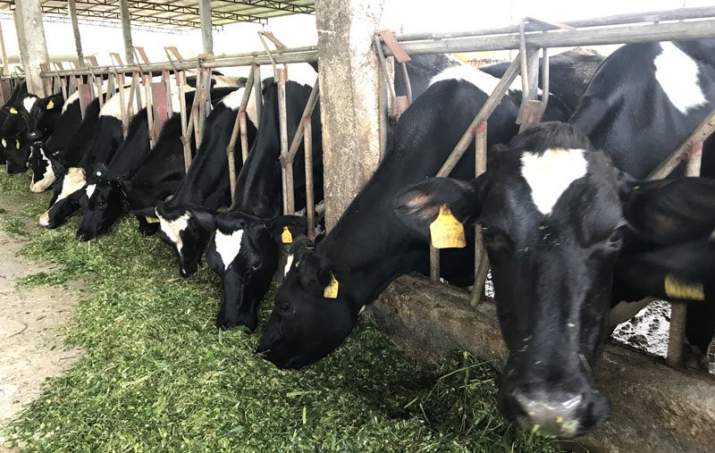 Sống trên đỉnh núi: Đẳng cấp 4.0, khối tiền 30 tỷ, Việt Nam có mấy ai