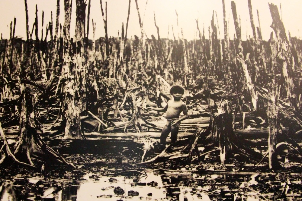 Nỗi đau da cam di truyền qua bốn thế hệ người Việt