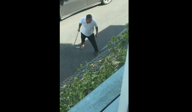 Biết tin con rể bạo hành con gái ruột, bố vợ đích thân cầm roi tới vụt lên bờ xuống ruộng cho chừa