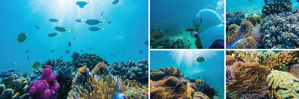 Những khoảnh khắc tuyệt đẹp di sản Việt Nam 2018