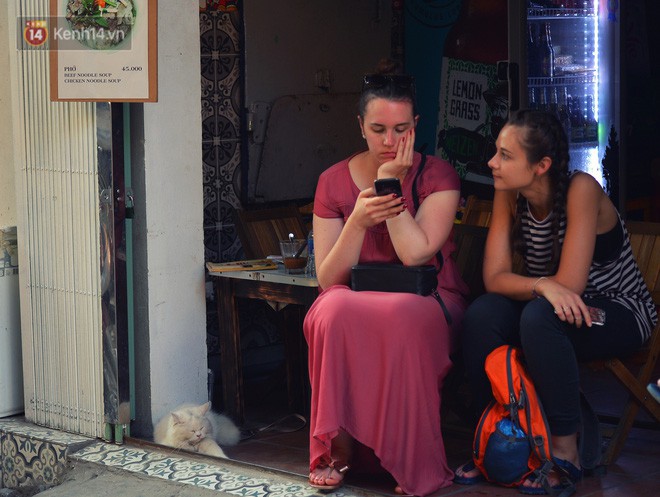 Chẳng cần đến Đài Loan, ngay Hà Nội cũng có một xóm đường tàu bình dị và đẹp đẽ không kém làng cổ Thập Phần