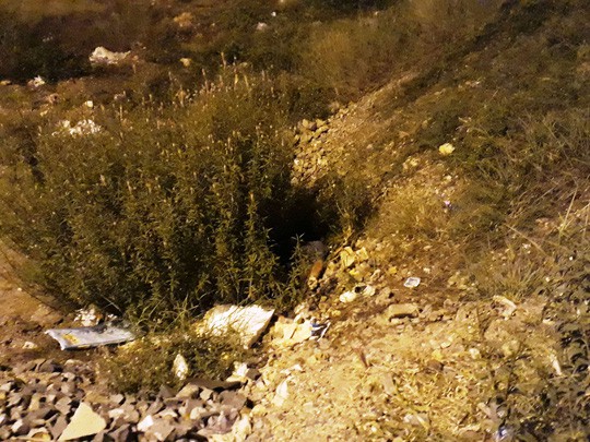 Phát hiện thi thể người đàn ông trong bụi rậm dưới chân cầu ở Nha Trang