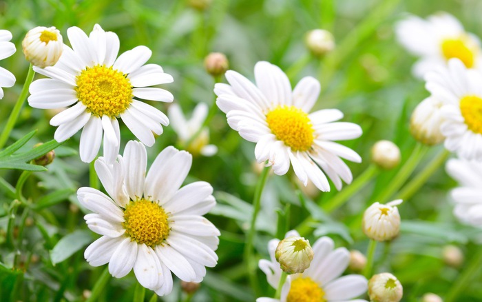 Thứ Sáu của bạn (26/10): Bọ Cạp là bậc thầy thuyết phục