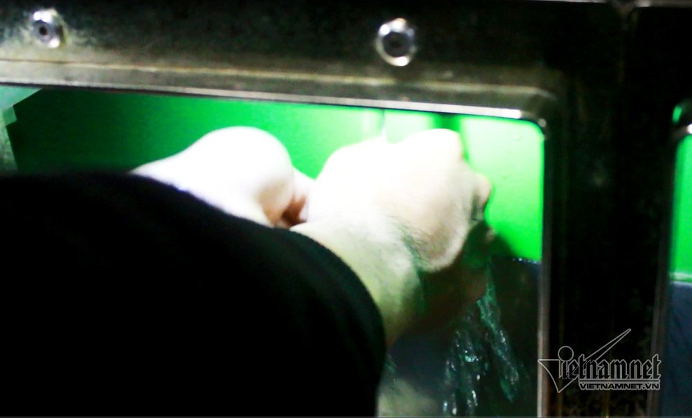 Video ảnh: Khóc cười ở chốn sung sướng nhất Sài Gòn