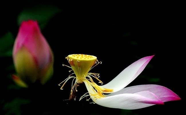 10 điều bạn tuyệt đối không nên quên trong cuộc đời, đặc biệt là điều thứ 5