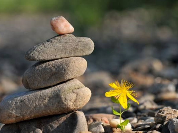 10 điều bạn tuyệt đối không nên quên trong cuộc đời, đặc biệt là điều thứ 5