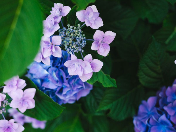 Thứ Bảy của bạn (27/10): Bọ Cạp cần biết tận dụng nguồn lực