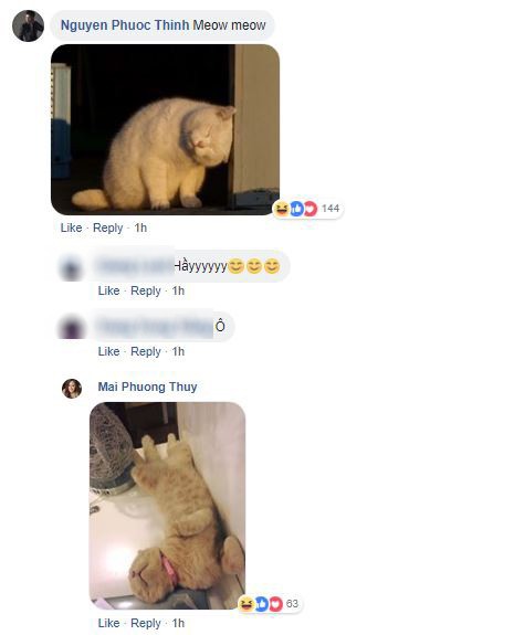 Sau nghi án hẹn hò, Noo Phước Thịnh và Mai Phương Thúy liên tục công khai thả thính nhau trên mạng xã hội