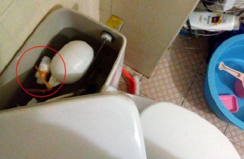 Khi chồng tỉnh táo giấu quỹ đen toàn chỗ hiểm vẫn không lại với những cô vợ có gen thám tử