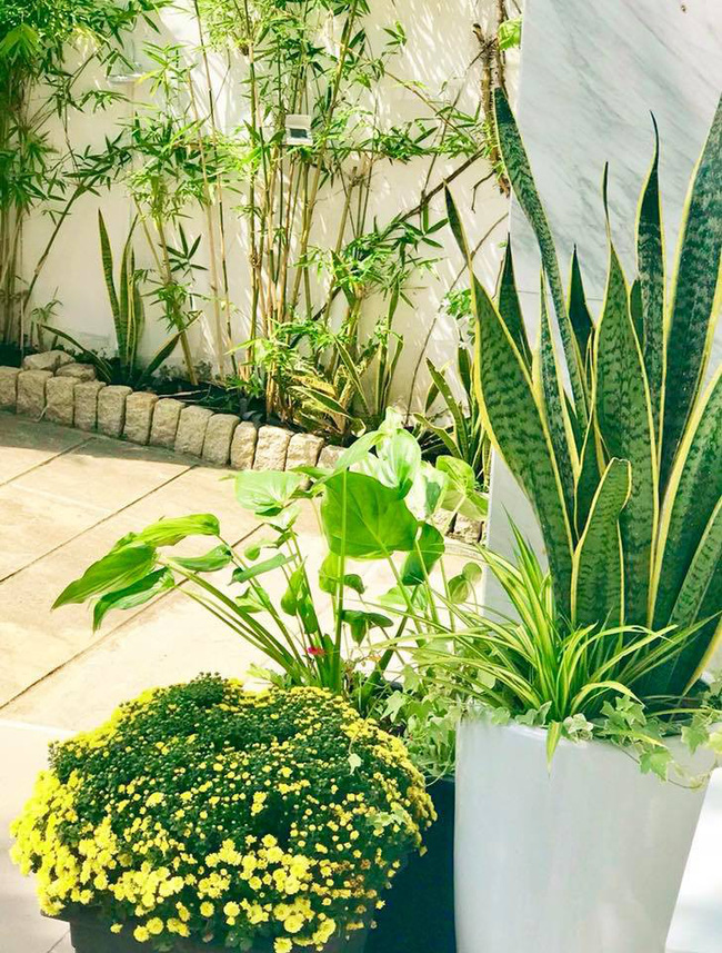 Biệt thự 21 tỷ đẹp hoàn hảo sau khi được tu sửa lại của vợ chồng MC Quyền Linh