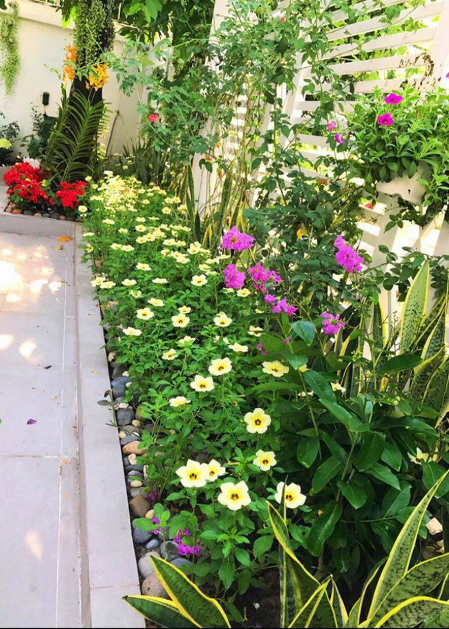 Biệt thự 21 tỷ đẹp hoàn hảo sau khi được tu sửa lại của vợ chồng MC Quyền Linh