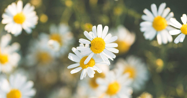 Chủ nhật của bạn (28/10): Mách bí quyết giúp Ma Kết tìm tri kỷ