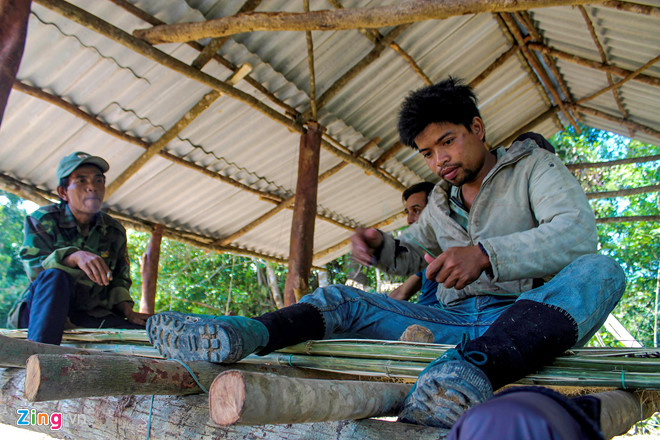 Dân dựng trại thay phiên bảo vệ gần 1.000 ha rừng