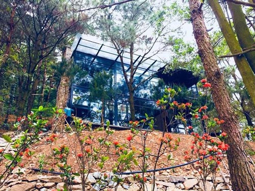 Hốt bạc nhờ kinh doanh biệt thự, nhà vườn ở Sóc Sơn