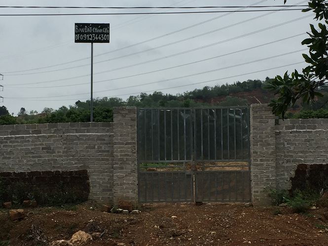 Hốt bạc nhờ kinh doanh biệt thự, nhà vườn ở Sóc Sơn