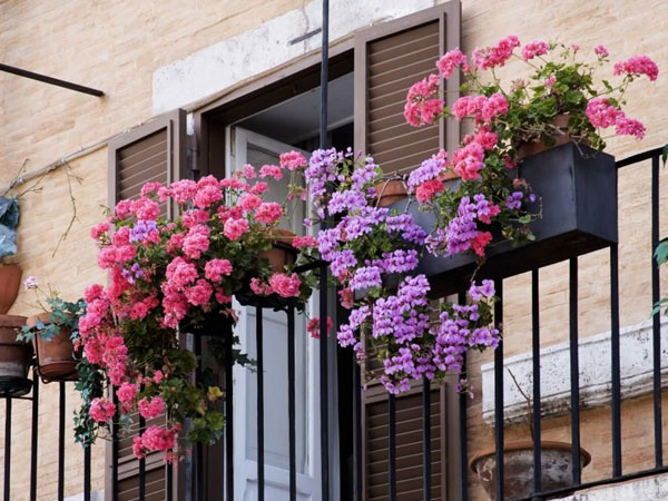 Lủi thủi xách túi đi đẻ, tôi tức nghẹn gặp chồng ở bệnh viện