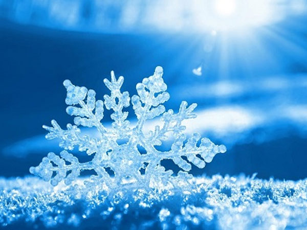 Thứ Ba của bạn (30/10): Nhân Mã có mối tình ngọt ngào