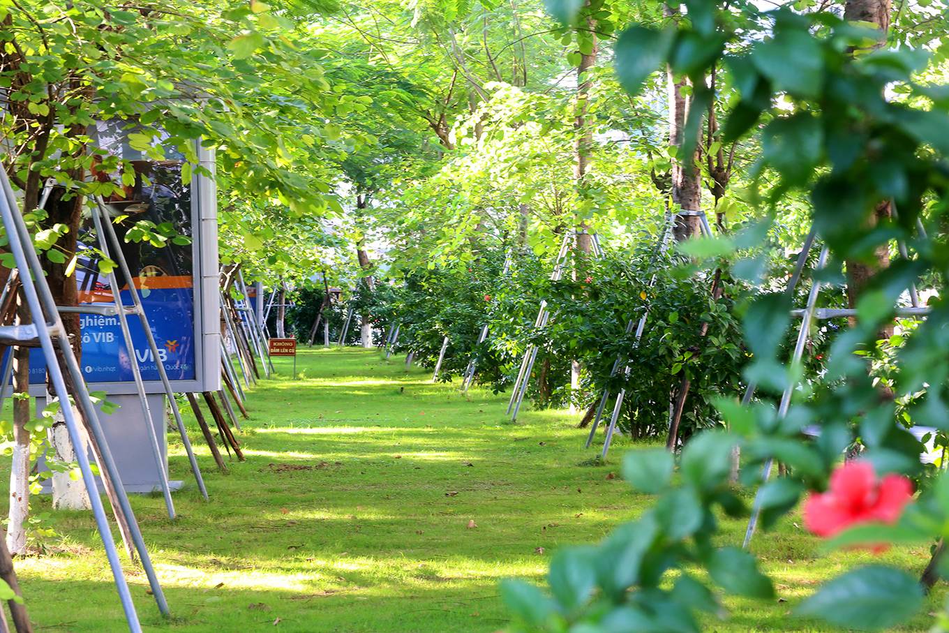 Video ảnh: Hệ thống đường vành đai 2,4 tỷ đồng một mét ở thủ đô