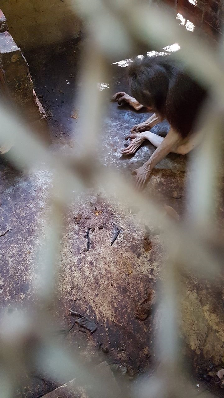 TP.HCM vào cuộc kiểm tra thông tin thú nuôi bị ngược đãi ở Củ Chi TP.HCM vào cuộc kiểm tra thông tin thú nuôi bị ngược đãi ở Củ Chi