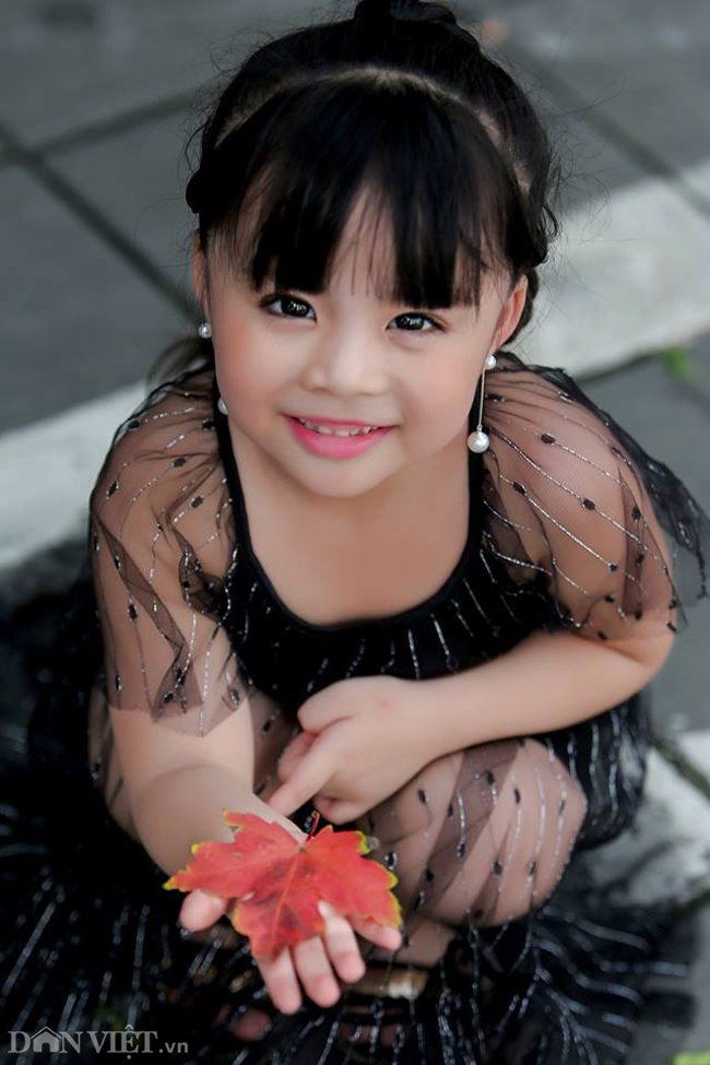 Ảnh: Ngỡ ngàng ngắm phong lá đỏ tại Hà Nội bắt đầu khoe sắc