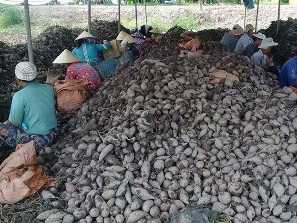 Nỗi lo Trung Quốc và lá đơn cầu cứu: Rơi nước mắt đến bao giờ