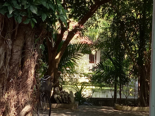 Đại gia vàng lệnh không mở cửa biệt phủ, đoàn kiểm tra bất lực đứng ngoài cổng nhìn vào