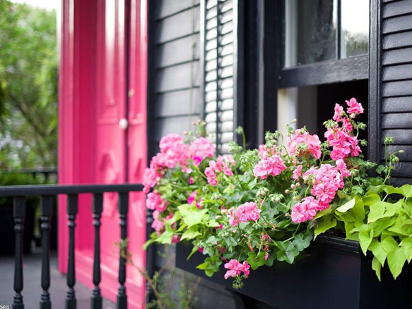 Đại gia Sài Gòn thuê thám tử theo nhân tình, biết sự thật trái ngang Đại gia Sài Gòn thuê thám tử theo nhân tình, biết sự thật trái ngang