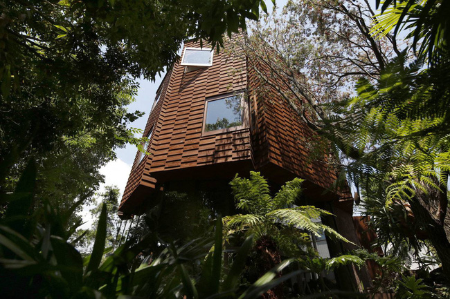 Giữa thủ đô Tokyo chật chội lại có một ngôi nhà vô cùng xanh mát với cây xanh