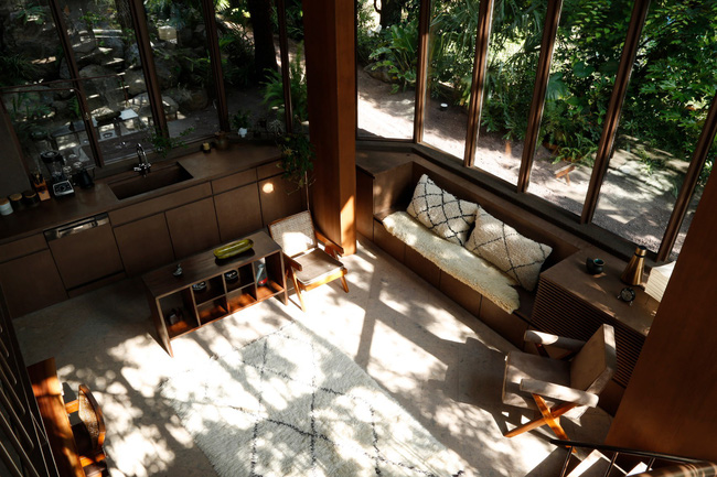 Giữa thủ đô Tokyo chật chội lại có một ngôi nhà vô cùng xanh mát với cây xanh