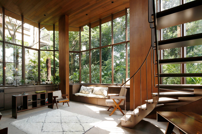 Giữa thủ đô Tokyo chật chội lại có một ngôi nhà vô cùng xanh mát với cây xanh