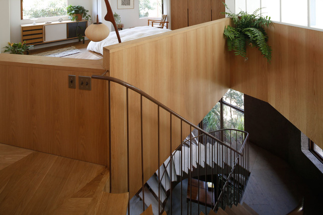 Giữa thủ đô Tokyo chật chội lại có một ngôi nhà vô cùng xanh mát với cây xanh