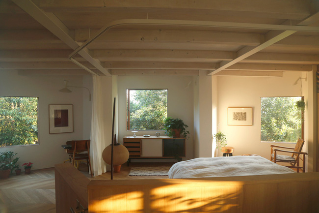 Giữa thủ đô Tokyo chật chội lại có một ngôi nhà vô cùng xanh mát với cây xanh