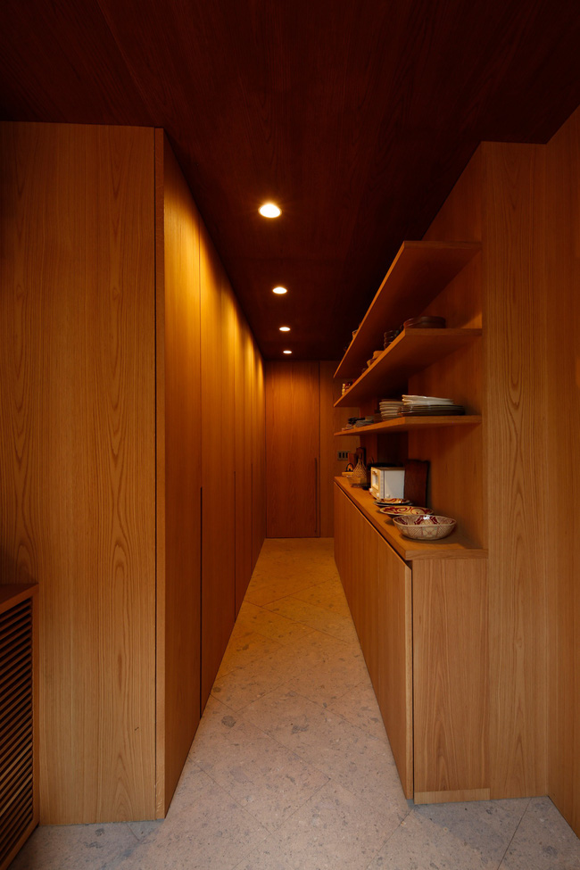 Giữa thủ đô Tokyo chật chội lại có một ngôi nhà vô cùng xanh mát với cây xanh