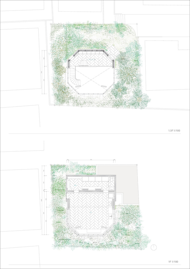 Giữa thủ đô Tokyo chật chội lại có một ngôi nhà vô cùng xanh mát với cây xanh