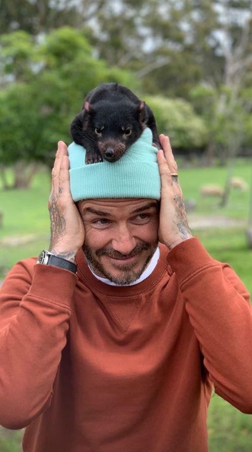 Giữa tin đồn lục đục, vợ chồng Beckham khoe ảnh gia đình đi chơi vui vẻ nhưng lại tránh chụp ảnh cùng nhau