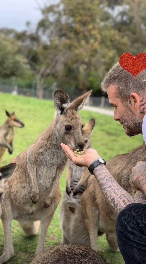 Giữa tin đồn lục đục, vợ chồng Beckham khoe ảnh gia đình đi chơi vui vẻ nhưng lại tránh chụp ảnh cùng nhau