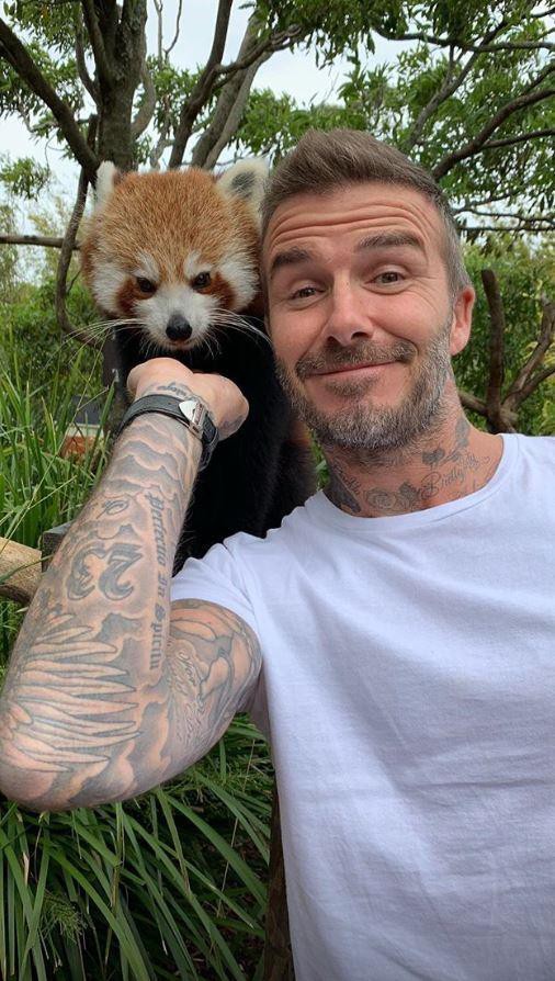 Giữa tin đồn lục đục, vợ chồng Beckham khoe ảnh gia đình đi chơi vui vẻ nhưng lại tránh chụp ảnh cùng nhau