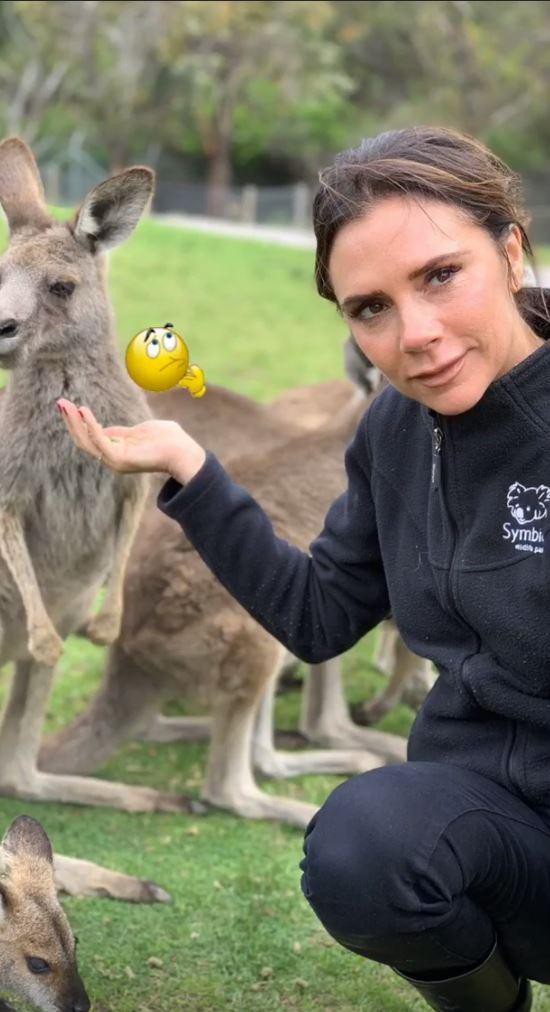 Giữa tin đồn lục đục, vợ chồng Beckham khoe ảnh gia đình đi chơi vui vẻ nhưng lại tránh chụp ảnh cùng nhau