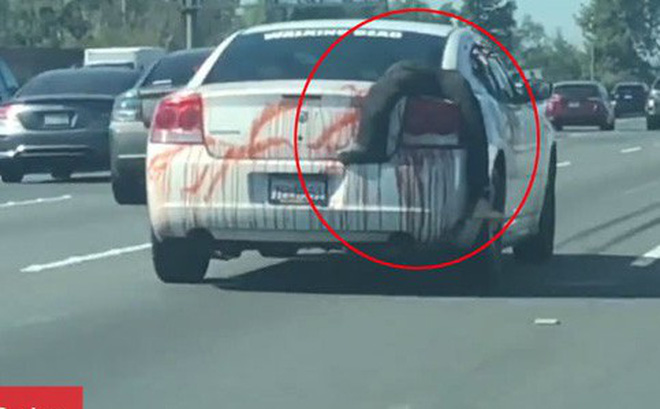 Người đi đường hoảng hồn vì xác chết máu me trên ô tô trong ngày Halloween