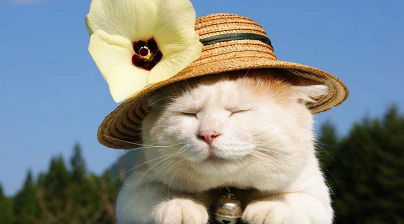 Nhà có 3 con giáp này, nghèo tới đâu năm 2023 cũng đổi vận bất ngờ, phát tài phát lộc