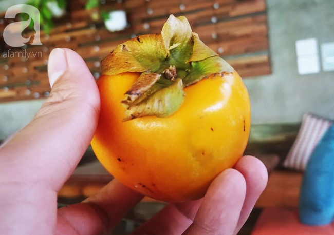 Cẩn thận với loại quả giòn ngon giàu dinh dưỡng này, đã có nhiều người bị tắc ruột chỉ vì ăn không đúng cách