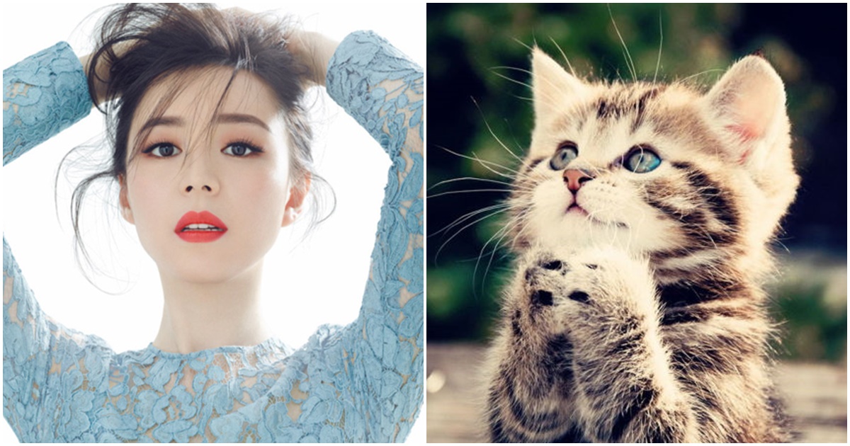 Đừng mong qua mặt 3 con giáp này vì họ đọc vé được hết rồi mà có thèm nói ra đâu! Đừng mong qua mặt 3 con giáp này vì họ đọc vé được hết rồi mà có thèm nói ra đâu!