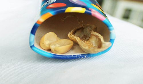 Diệt sạch chuột trong 1 đêm chỉ với 3 củ khoai tây