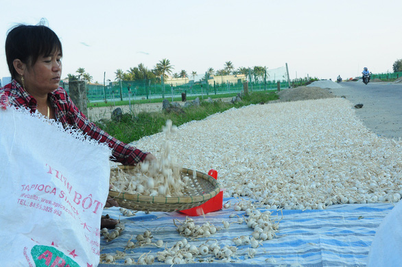 Chém gió về tỏi Lý Sơn ở Thương vụ bạc tỉ bị phản ứng dữ dội