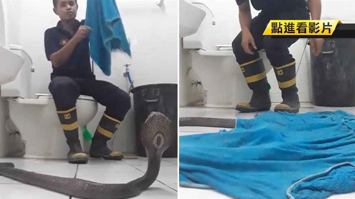 Góc hữu ích: Lính cứu hỏa Thái Lan hướng dẫn cách xử lý khi gặp rắn hổ mang ở trong nhà chỉ với 1 chiếc khăn tắm