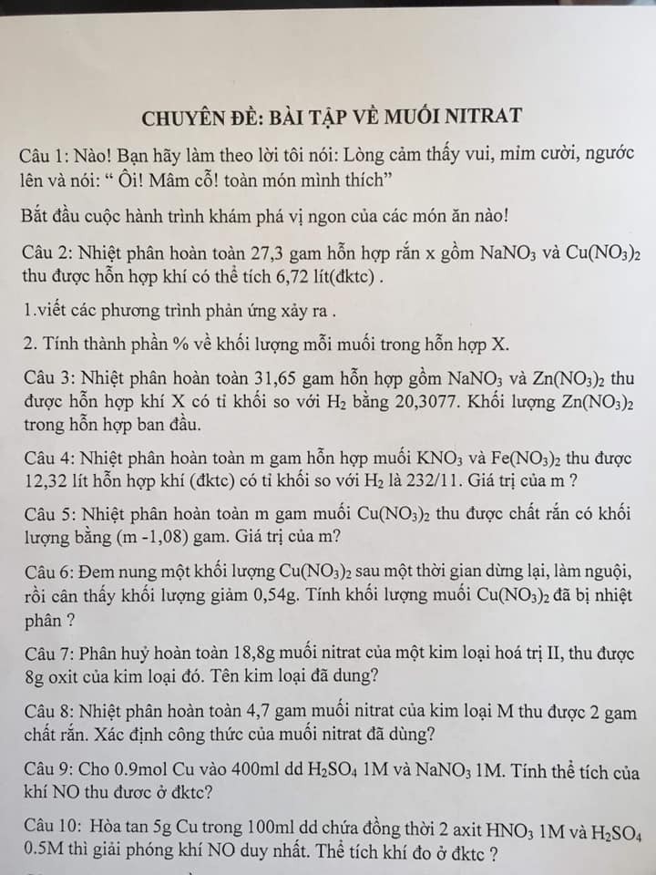 Loạt ảnh minh chứng cho câu nói: Khi bạn sinh ra là con của thần biển nhưng bố mẹ lại muốn bạn làm giáo viên